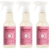 image:imageMRS MEYERS CLEAN DAY MultiSurface Cleaner Peppermint 16 fl oz 3 Pack  Removes Dirt and Freshens Surfaces Everyday Use AllPurpose Cleaner Cruelty Free Made with Essential Oils
